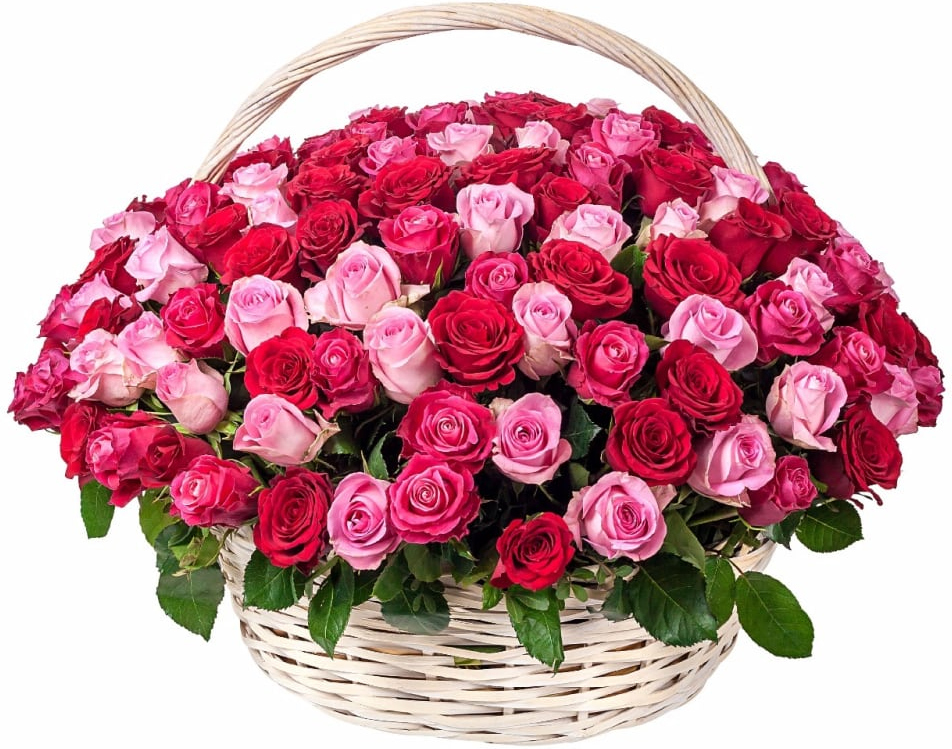 из розовых роз Букет «Созвездие девы»